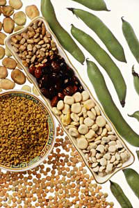 legumes